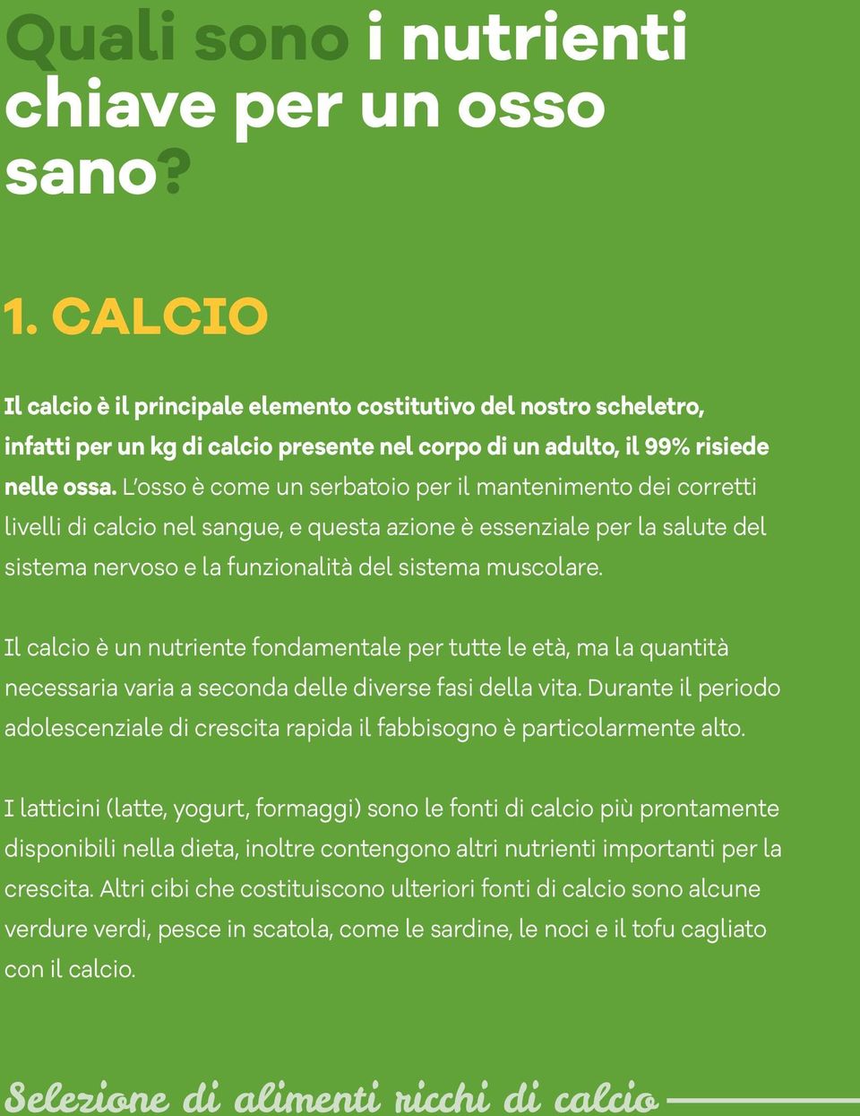 L osso è come un serbatoio per il mantenimento dei corretti livelli di calcio nel sangue, e questa azione è essenziale per la salute del sistema nervoso e la funzionalità del sistema muscolare.