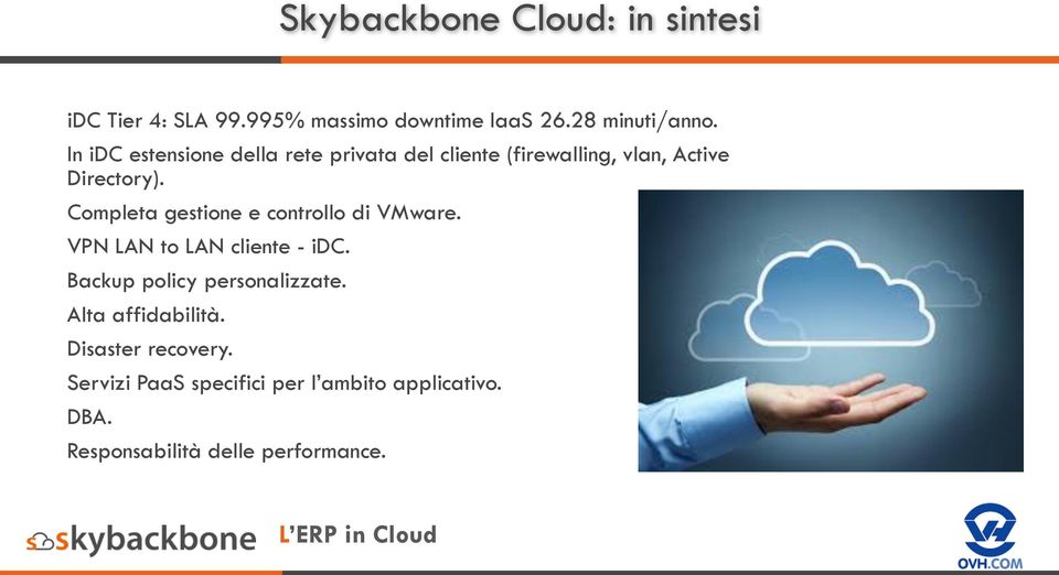 Completa gestione e controllo di VMware. VPN LAN to LAN cliente - idc. Backup policy personalizzate.