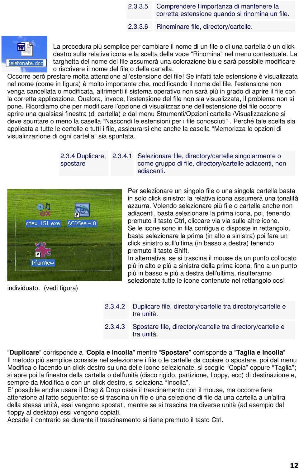 La targhetta del nome del file assumerà una colorazione blu e sarà possibile modificare o riscrivere il nome del file o della cartella. Occorre però prestare molta attenzione all estensione del file!