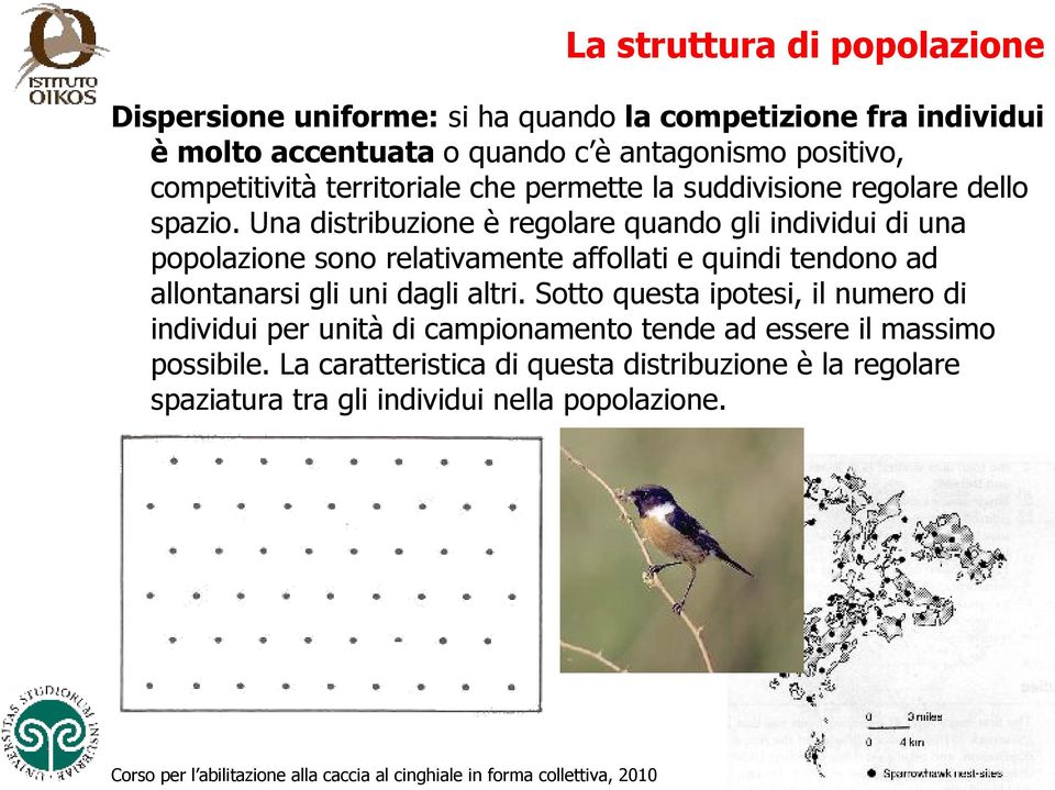 Una distribuzione è regolare quando gli individui di una popolazione sono relativamente affollati e quindi tendono ad allontanarsi gli uni dagli