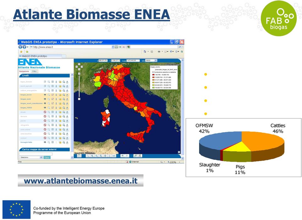 46% www.atlantebiomasse.enea.it Slaughter 1% Pigs 11% 3.