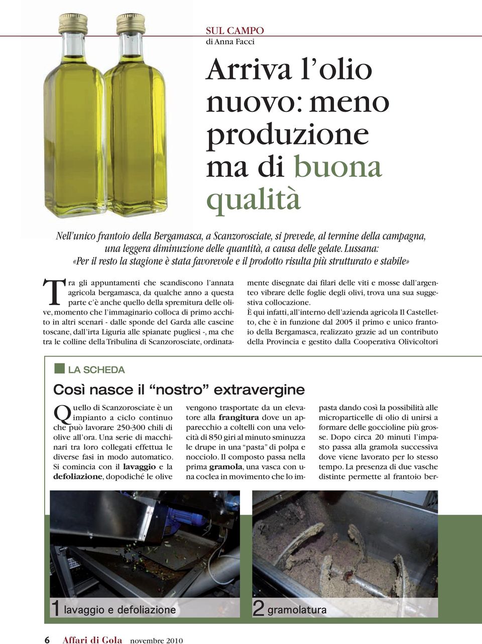 Lussana: «Per il resto la stagione è stata favorevole e il prodotto risulta più strutturato e stabile» Tra gli appuntamenti che scandiscono l annata agricola bergamasca, da qualche anno a questa