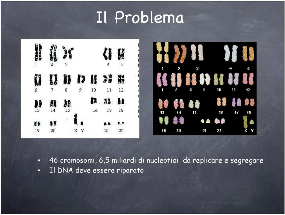 da replicare e segregare