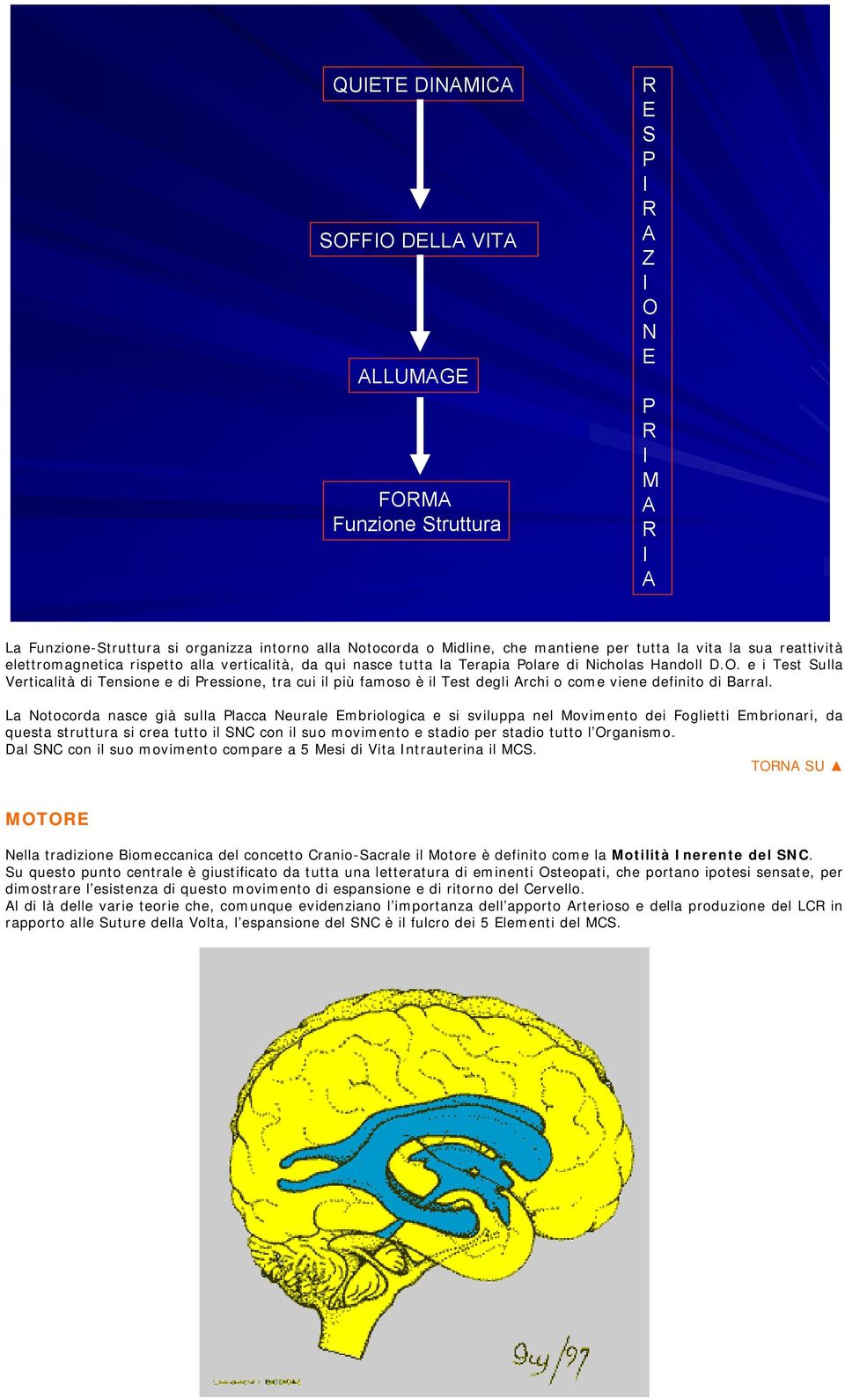 e i Test Sulla Verticalità di Tensione e di Pressione, tra cui il più famoso è il Test degli Archi o come viene definito di Barral.