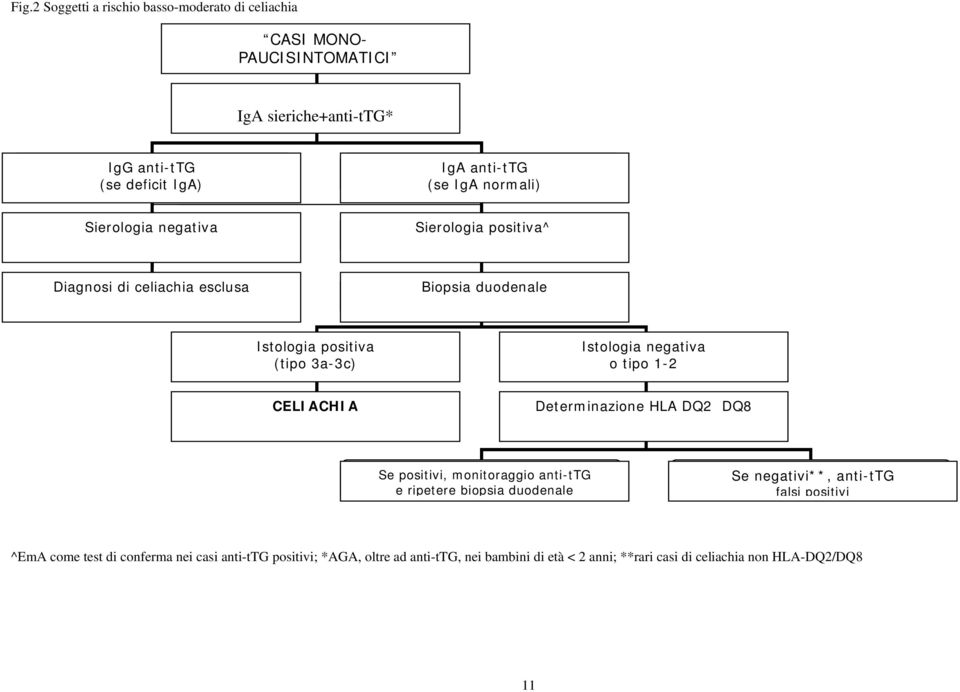 negativa o tipo 1-2 CELIACHIA Determinazione HLA DQ2 DQ8 Se positivi, monitoraggio anti-ttg e ripetere biopsia duodenale Se negativi**, anti-ttg falsi