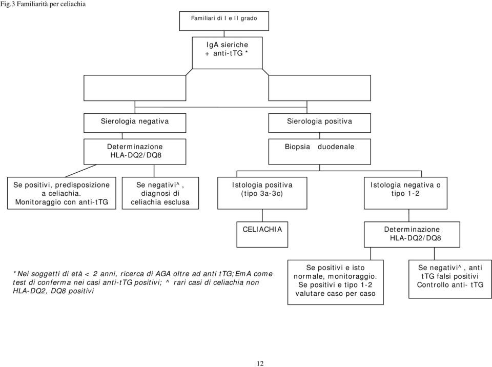 Monitoraggio con anti-ttg Se negativi^, diagnosi di celiachia esclusa Istologia positiva (tipo 3a-3c) Istologia negativa o tipo 1-2 CELIACHIA Determinazione HLA-DQ2/DQ8 *Nei