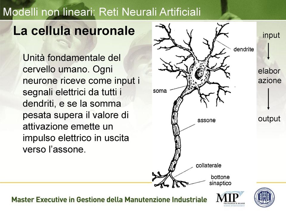 Ogni neurone riceve come input i segnali elettrici da tutti i dendriti, e se