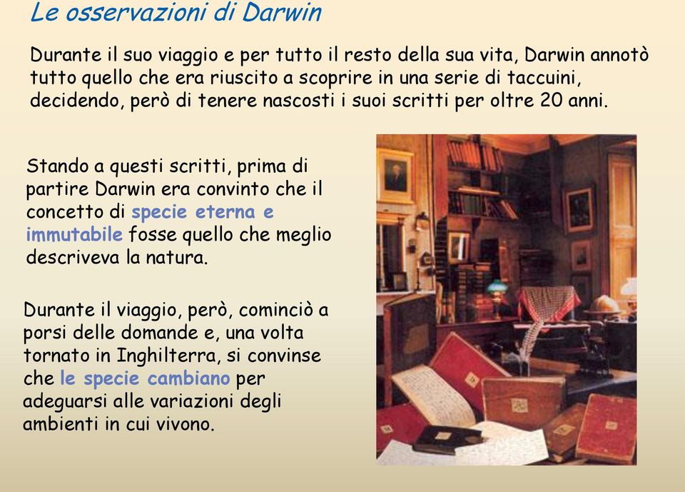 Stando a questi scritti, prima di partire Darwin era convinto che il concetto di specie eterna e immutabile fosse quello che meglio descriveva