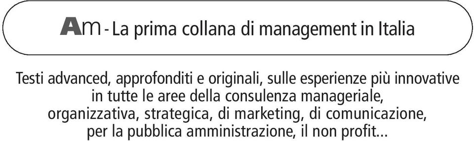 le aree della consulenza manageriale, organizzativa, strategica, di