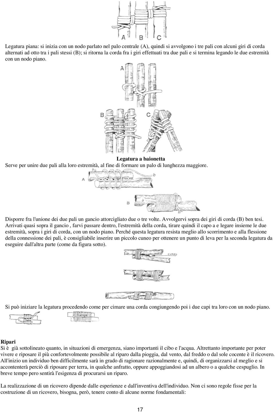 Disporre fra l'unione dei due pali un gancio attorcigliato due o tre volte. Avvolgervi sopra dei giri di corda (B) ben tesi.