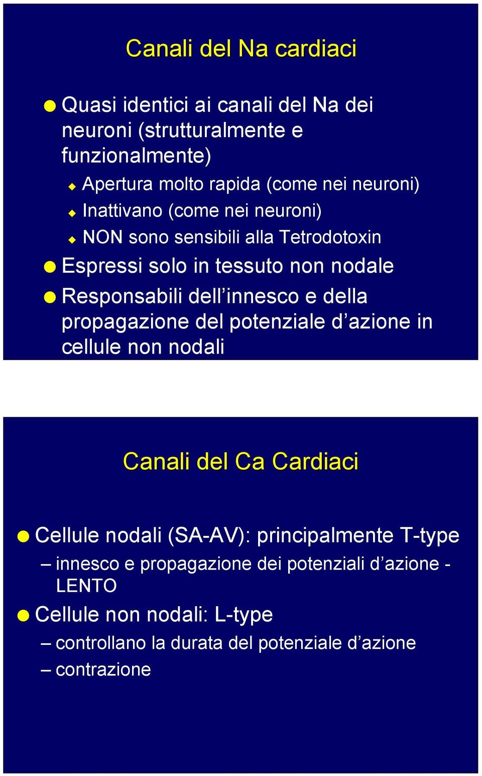 innesco e della propagazione del potenziale d azione in cellule non nodali Canali del Ca Cardiaci Cellule nodali (SA-AV): principalmente