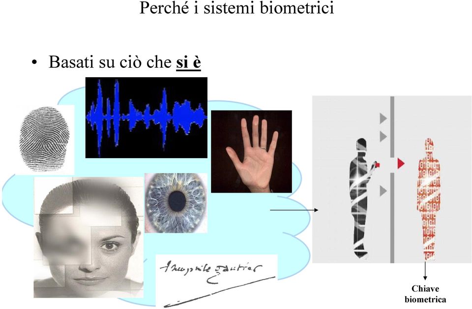 Basati su ciò