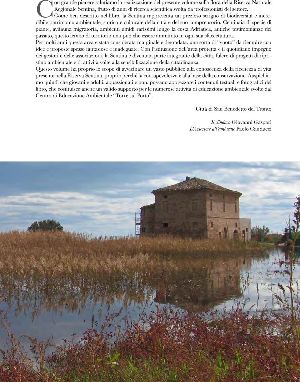 Centinaia di specie di piante, avifauna migratoria, ambienti umidi rarissimi lungo la costa Adriatica, antiche testimonianze del passato, questo lembo di territorio non può che essere ammirato in