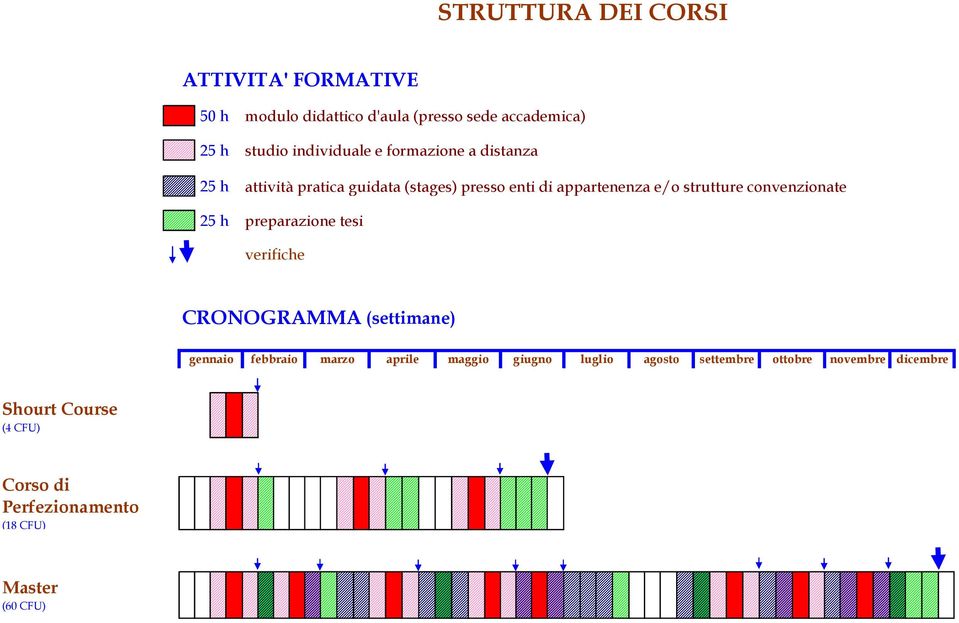 strutture convenzionate 25 h preparazione tesi verifiche CRONOGRAMMA (settimane) gennaio febbraio marzo aprile