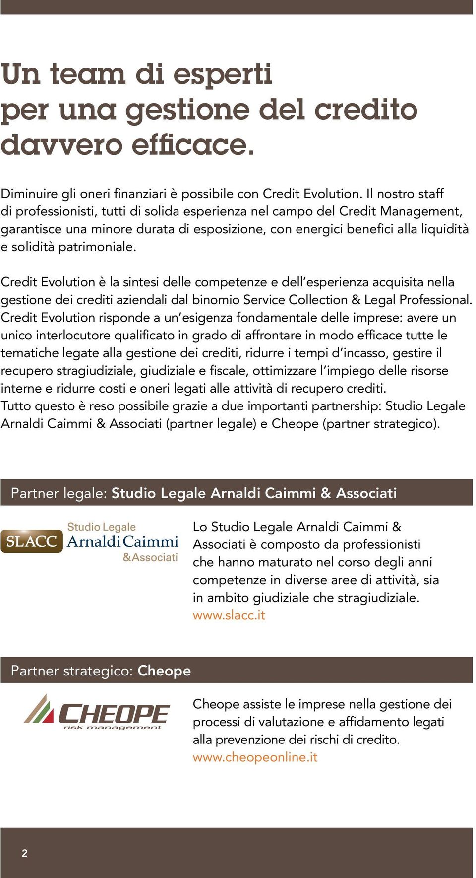 patrimoniale. Credit Evolution è la sintesi delle competenze e dell esperienza acquisita nella gestione dei crediti aziendali dal binomio Service Collection & Legal Professional.