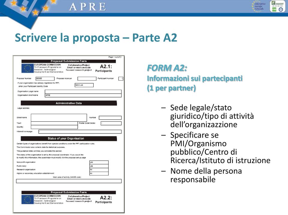 attività dell organizazzione Specificare se PMI/Organismo