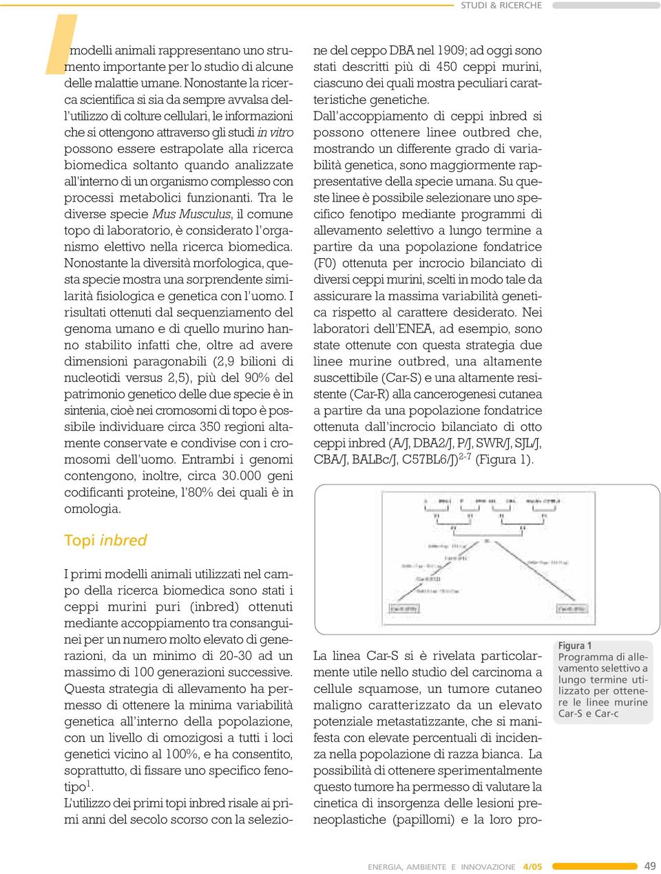 biomedica soltanto quando analizzate all interno di un organismo complesso con processi metabolici funzionanti.