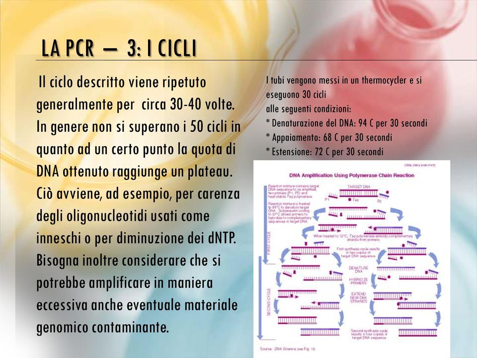 Ciò avviene, ad esempio, per carenza degli oligonucleotidi usati come inneschi o per diminuzione dei dntp.