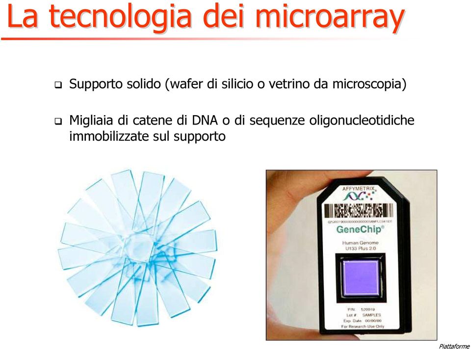 catene di DNA o di sequenze