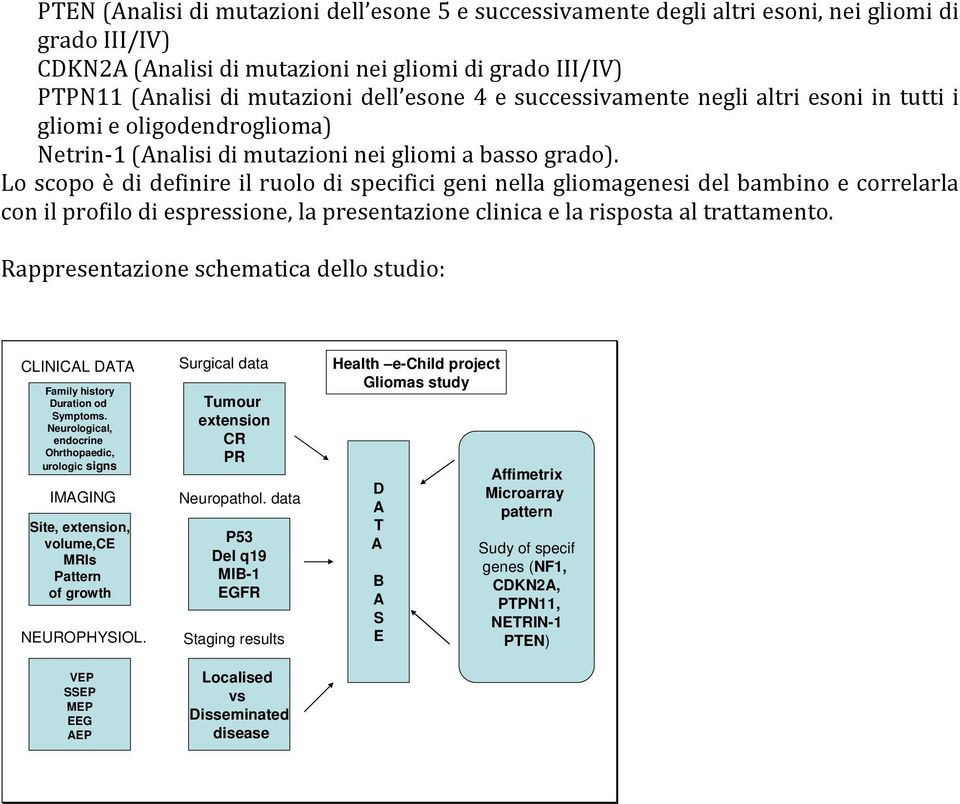 Lo scopo è di definire il ruolo di specifici geni nella gliomagenesi del bambino e correlarla con il profilo di espressione, la presentazione clinica e la risposta al trattamento.