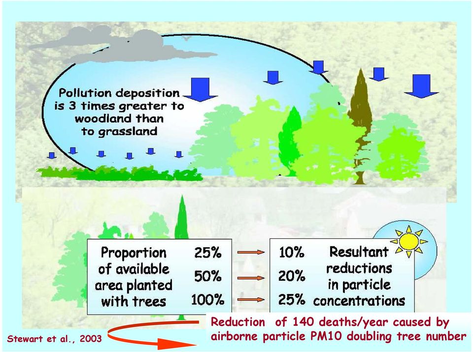 deaths/year caused by