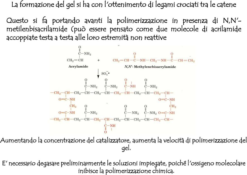 testa a testa alle loro estremità non reattive Aumentando la concentrazione del catalizzatore, aumenta la velocità di