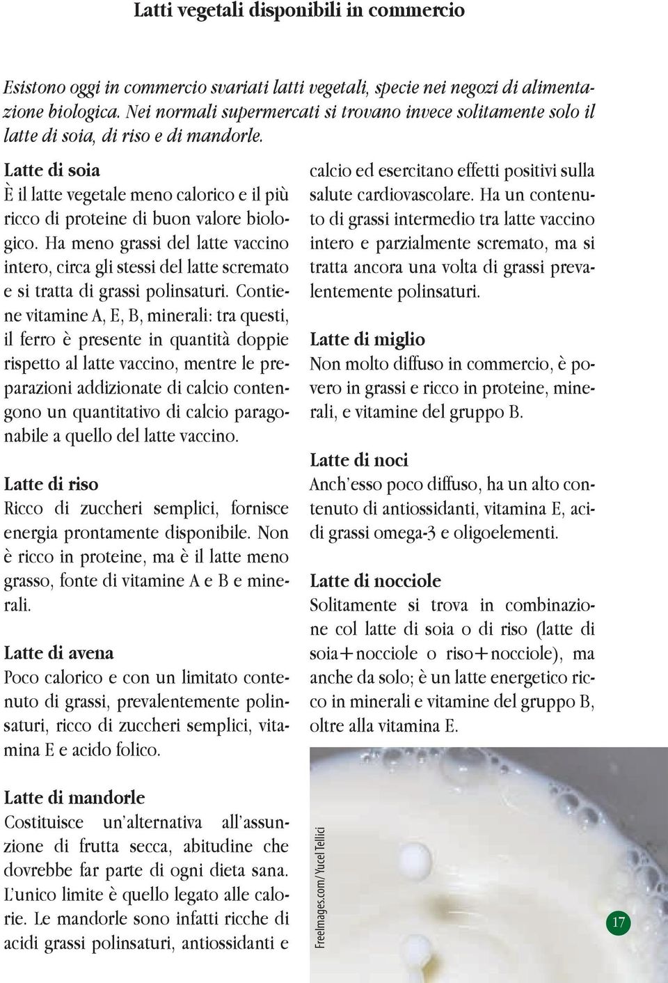 Latte di soia È il latte vegetale meno calorico e il più ricco di proteine di buon valore biologico.