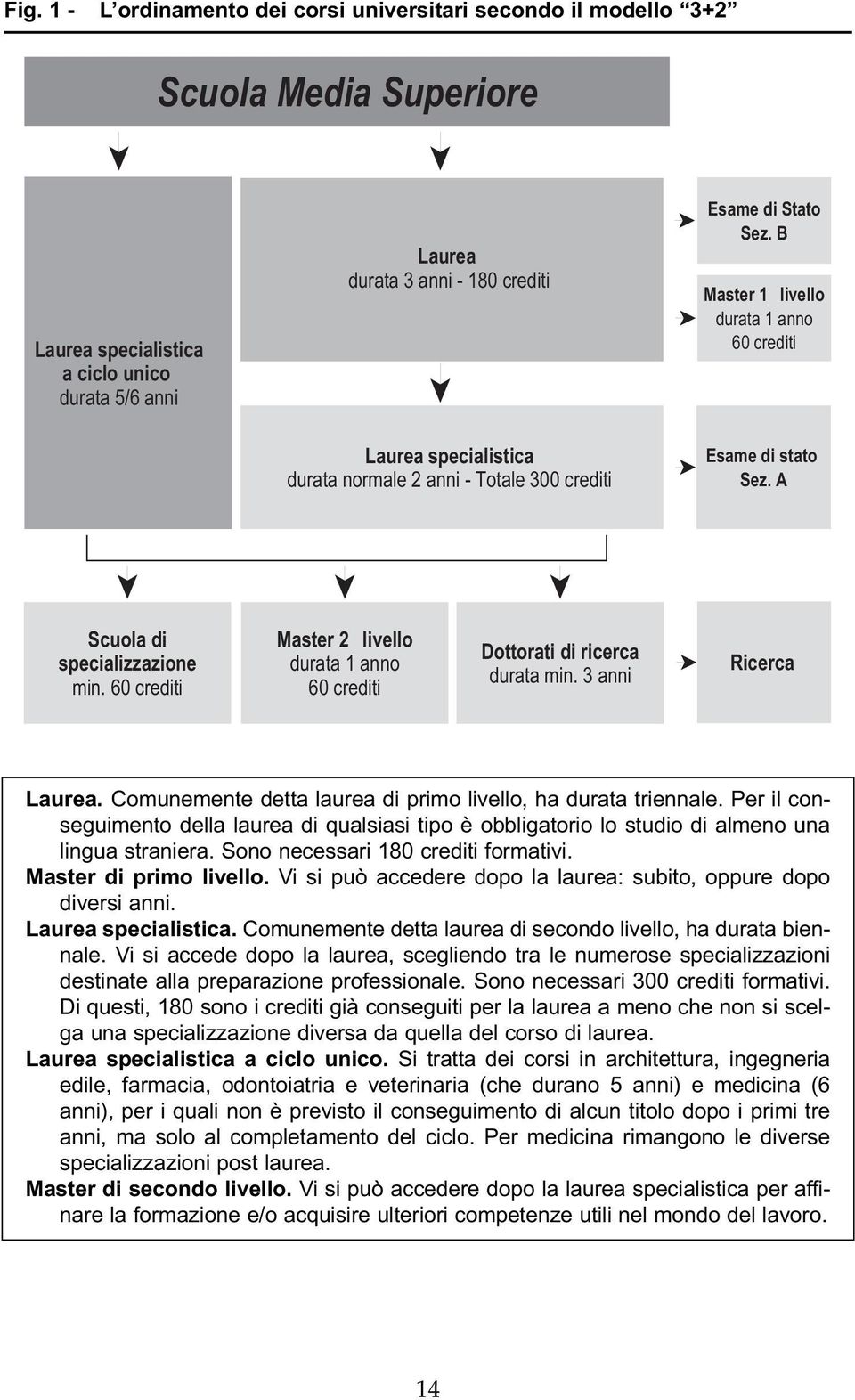 60 crediti Master 2 livello durata 1 anno 60 crediti Dottorati di ricerca durata min. 3 anni Ricerca Laurea. Comunemente detta laurea di primo livello, ha durata triennale.