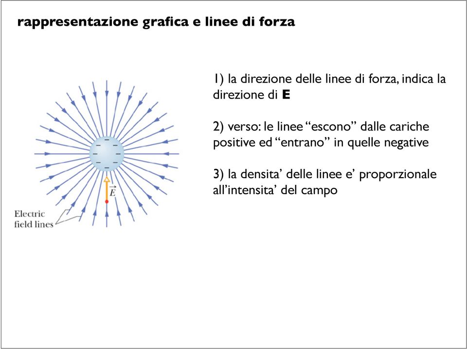 linee escono dalle cariche positive ed entrano in quelle