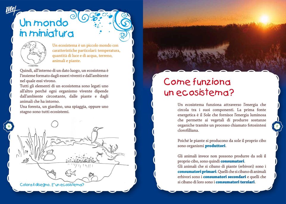 Tutti gli elementi di un ecosistema sono legati uno all altro perché ogni organismo vivente dipende dall ambiente circostante, dalle piante e dagli animali che ha intorno.