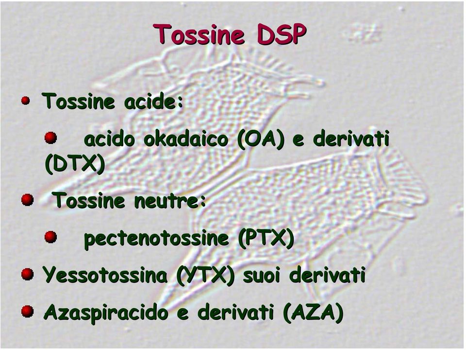 neutre: pectenotossine (PTX)