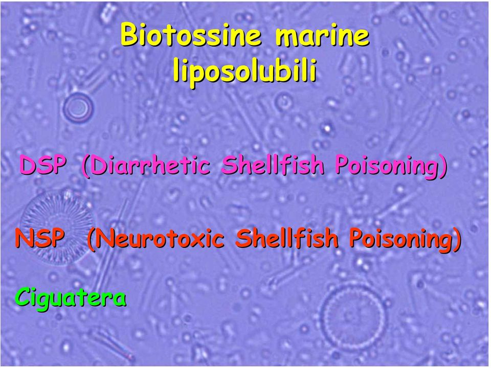Shellfish Poisoning) NSP