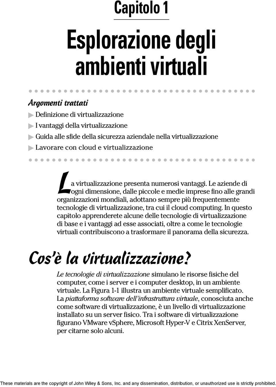 Le aziende di ogni dimensione, dalle piccole e medie imprese fino alle grandi organizzazioni mondiali, adottano sempre più frequentemente tecnologie di virtualizzazione, tra cui il cloud computing.