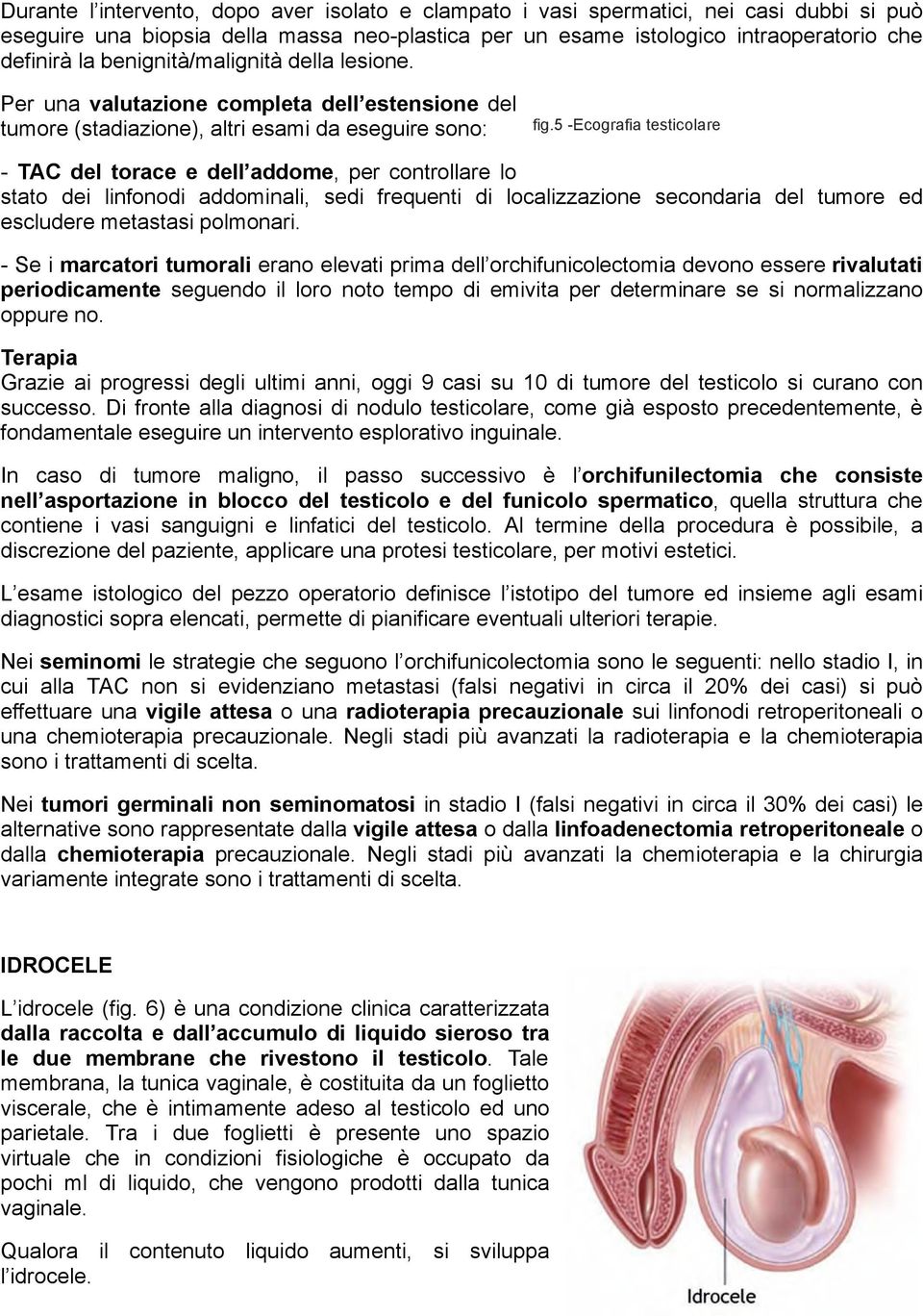 5 -Ecografia testicolare - TAC del torace e dell addome, per controllare lo stato dei linfonodi addominali, sedi frequenti di localizzazione secondaria del tumore ed escludere metastasi polmonari.