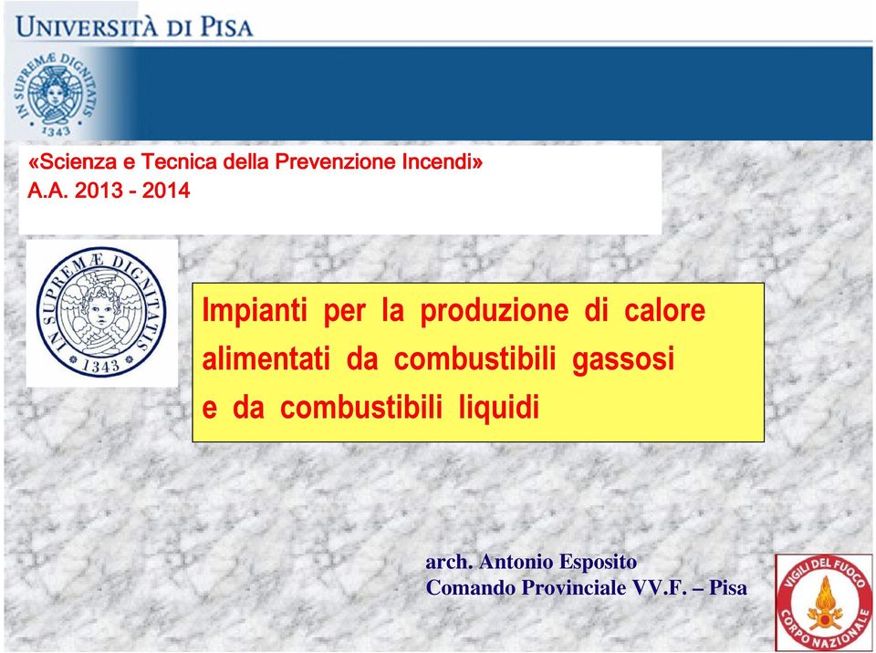 alimentati da combustibili gassosi e da combustibili