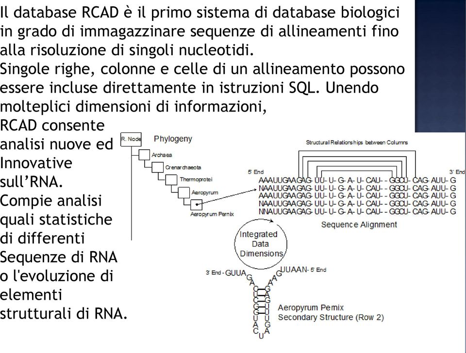 Singole righe, colonne e celle di un allineamento possono essere incluse direttamente in istruzioni SQL.