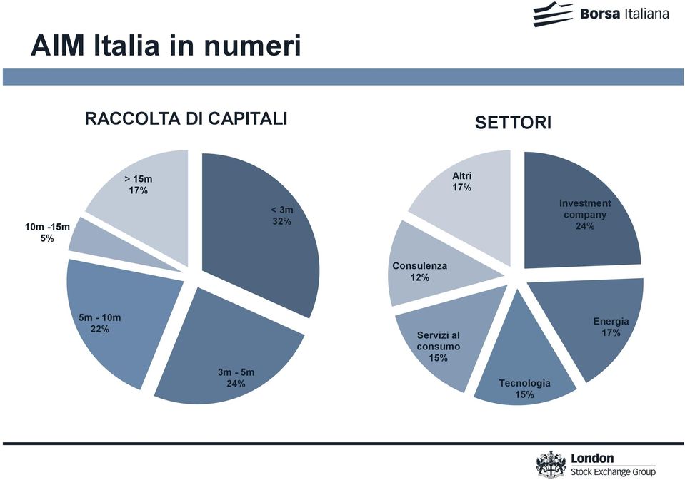 Investment company 24% Consulenza 12% 5m - 10m 22%