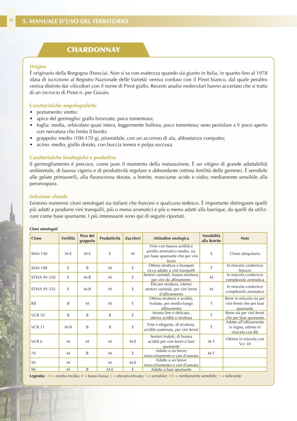 distinto dai viticoltori con il nome di Pinot giallo. Recenti analisi molecolari hanno accertato che si tratta di un incrocio di Pinot n. per Gouais.