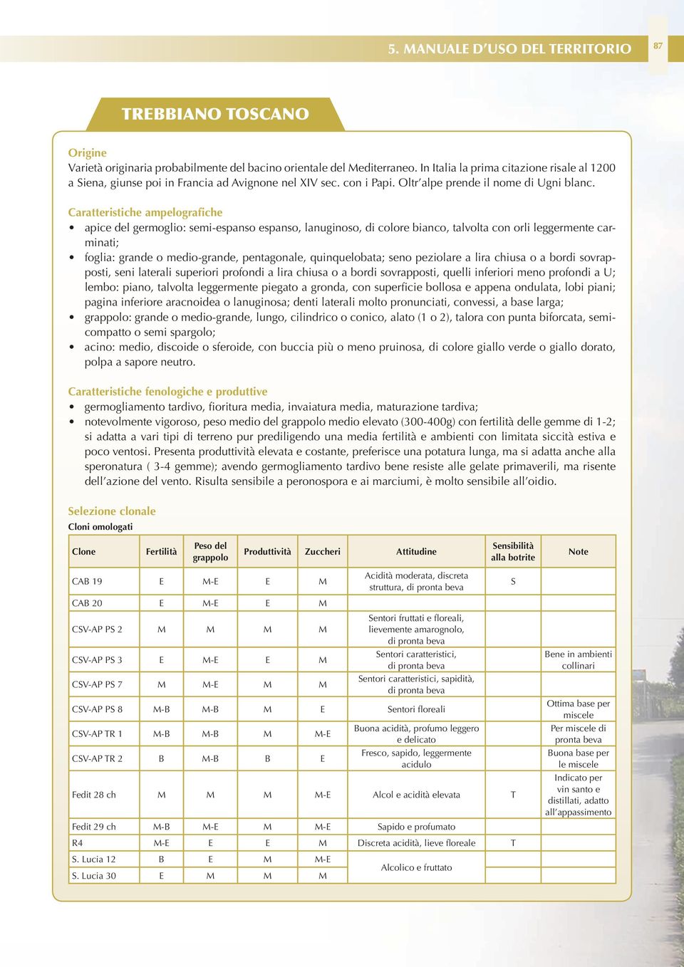 Caratteristiche ampelografiche apice del germoglio: semi-espanso espanso, lanuginoso, di colore bianco, talvolta con orli leggermente carminati; foglia: grande o medio-grande, pentagonale,