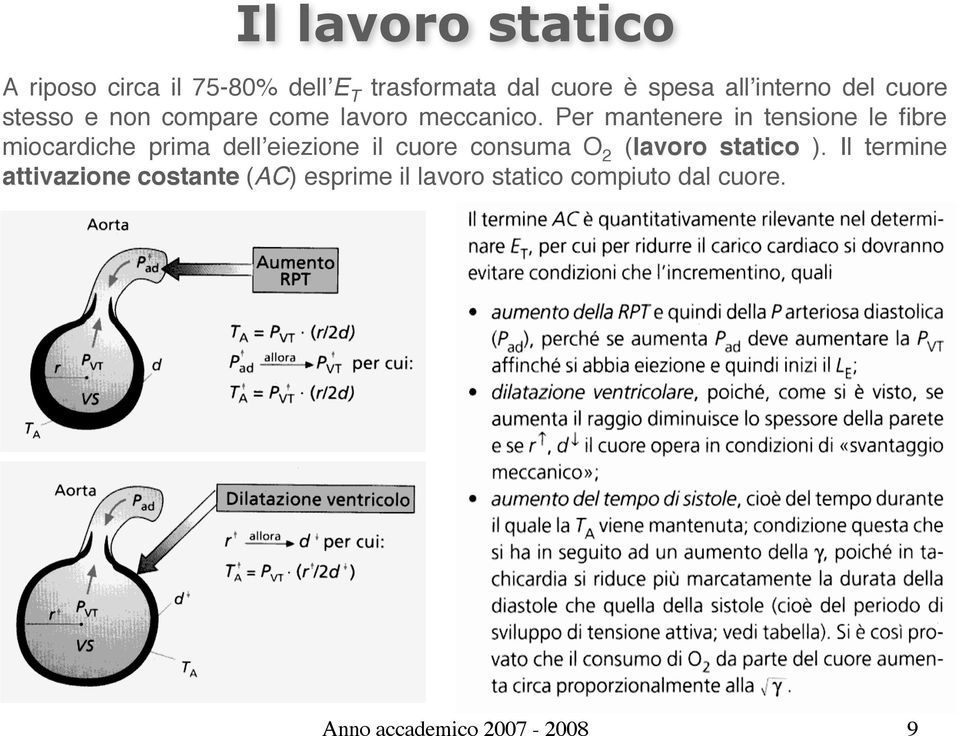 Per mantenere in tensione le fibre miocardiche prima dellʼeiezione il cuore consuma O 2