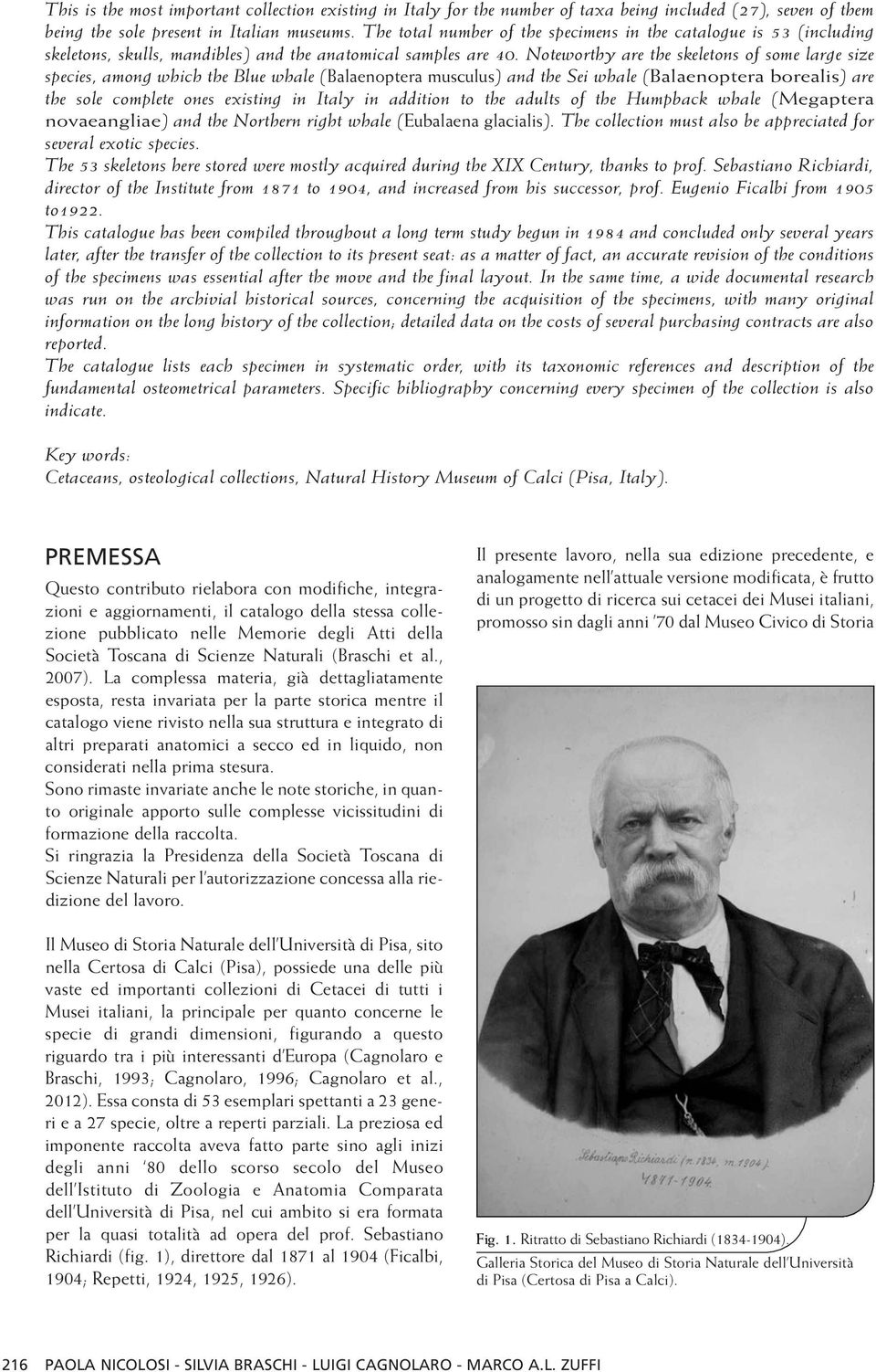 Noteworthy are the skeletons of some large size species, among which the Blue whale (Balaenoptera musculus) and the Sei whale (Balaenoptera borealis) are the sole complete ones existing in Italy in