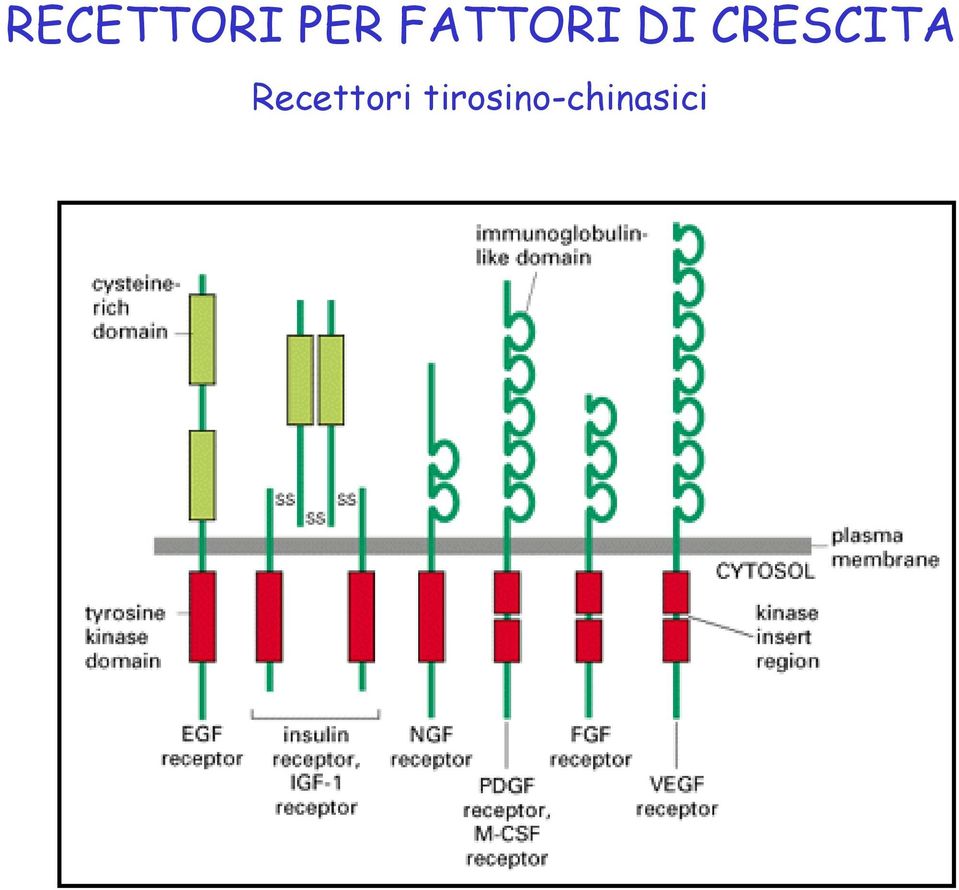 CRESCITA