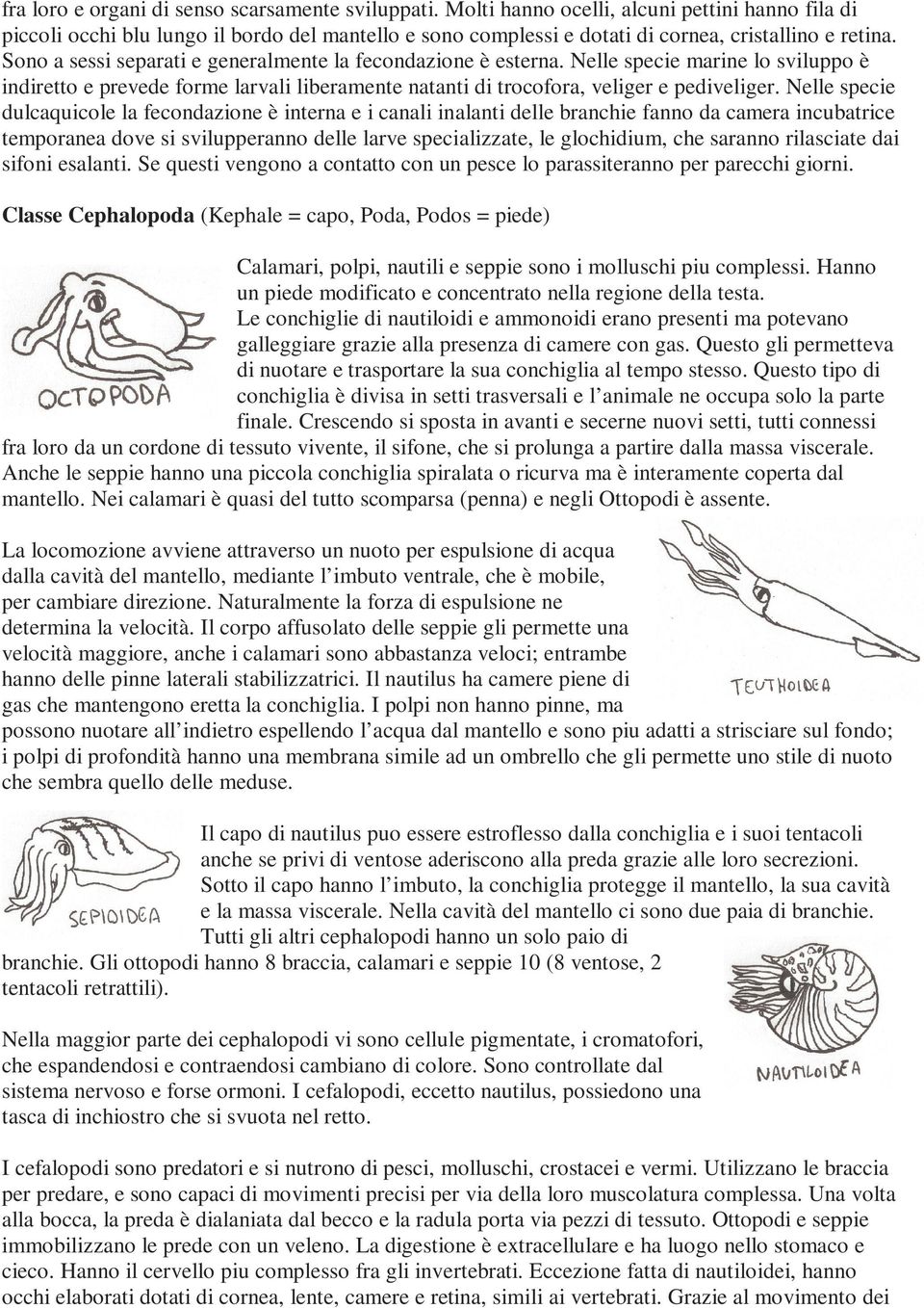 Sono a sessi separati e generalmente la fecondazione è esterna. Nelle specie marine lo sviluppo è indiretto e prevede forme larvali liberamente natanti di trocofora, veliger e pediveliger.