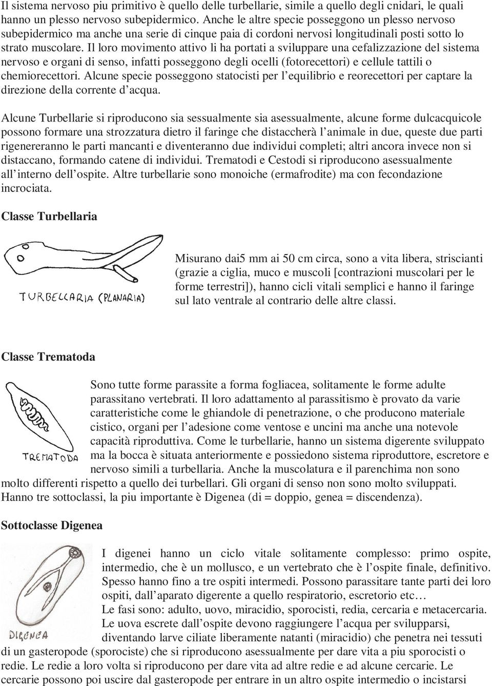 Il loro movimento attivo li ha portati a sviluppare una cefalizzazione del sistema nervoso e organi di senso, infatti posseggono degli ocelli (fotorecettori) e cellule tattili o chemiorecettori.