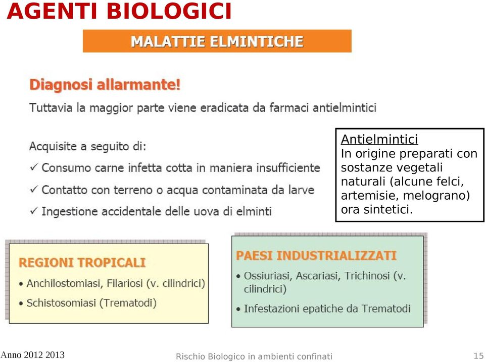 vegetali naturali (alcune felci,