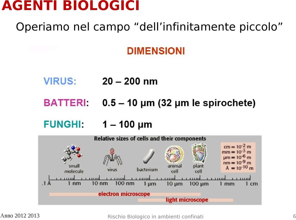 Operiamo nel