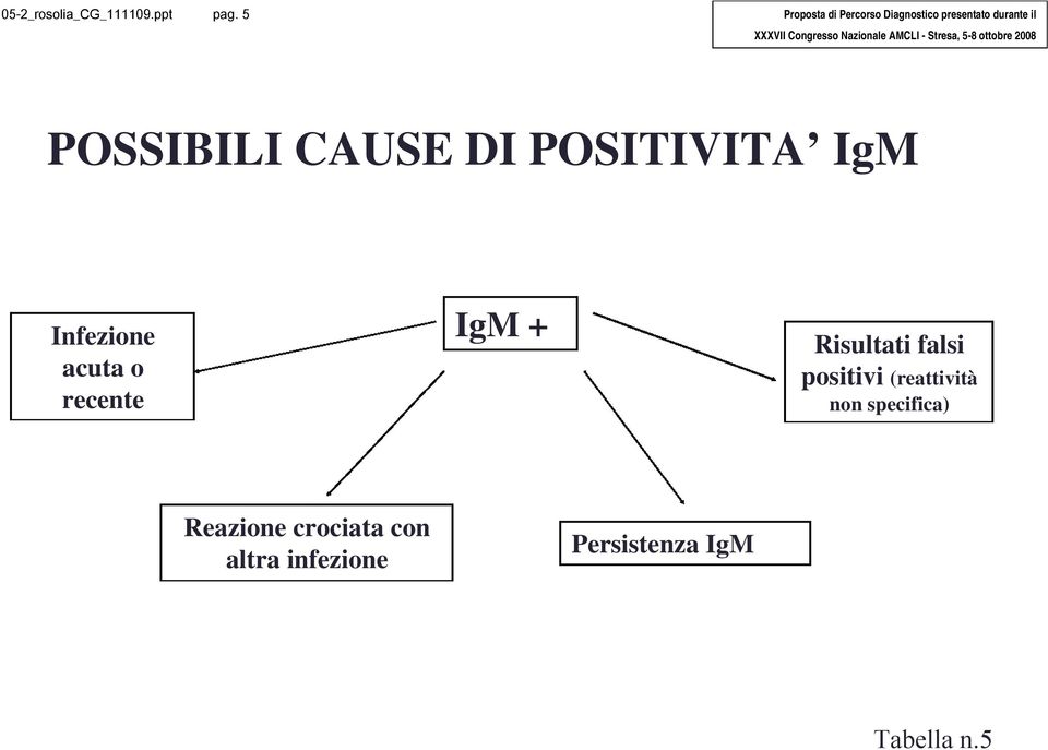 recente IgM + Risultati falsi positivi (reattività non