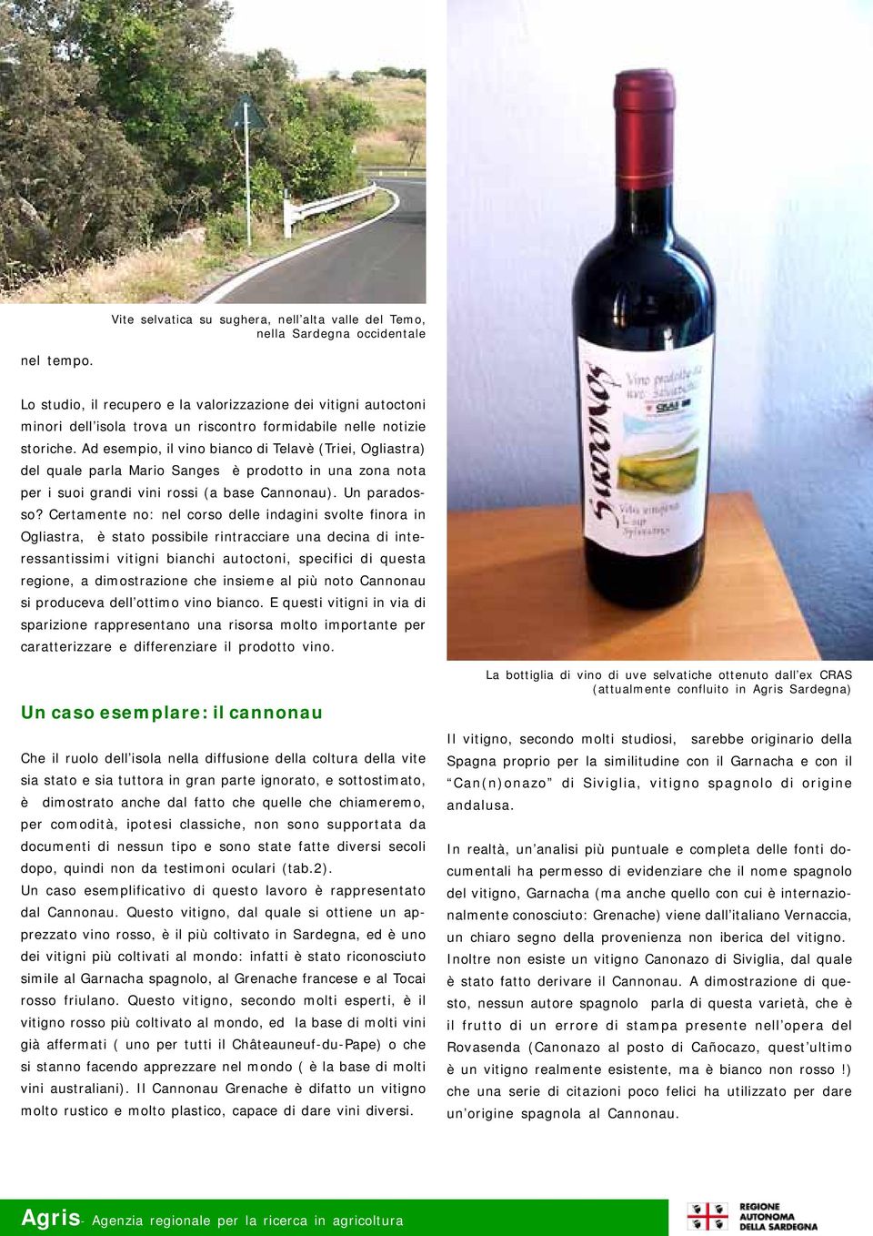 Ad esempio, il vino bianco di Telavè (Triei, Ogliastra) del quale parla Mario Sanges è prodotto in una zona nota per i suoi grandi vini rossi (a base Cannonau). Un paradosso?