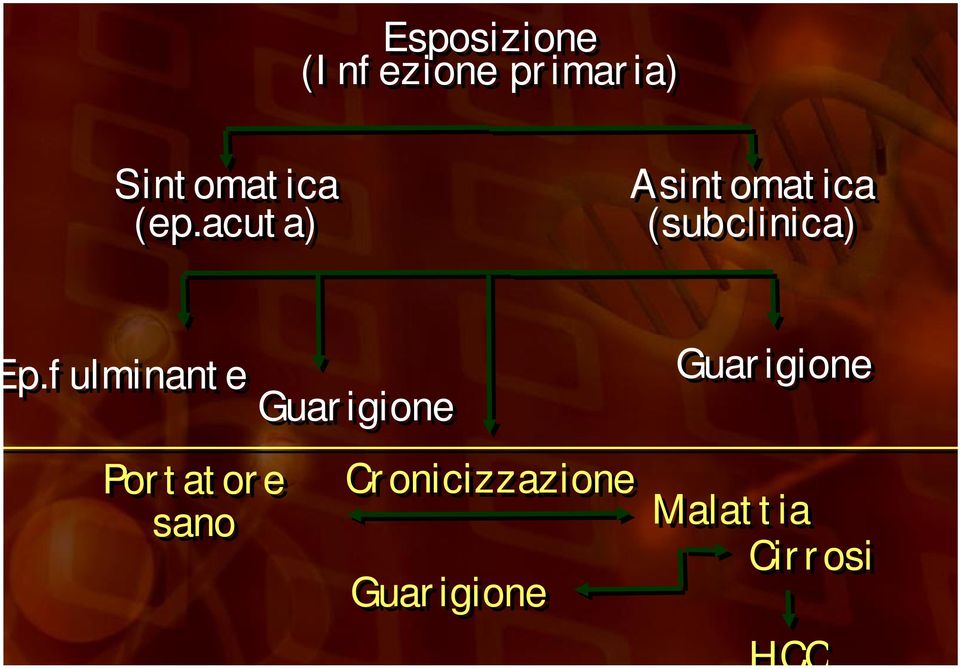 fulminante Guarigione Guarigione Portatore