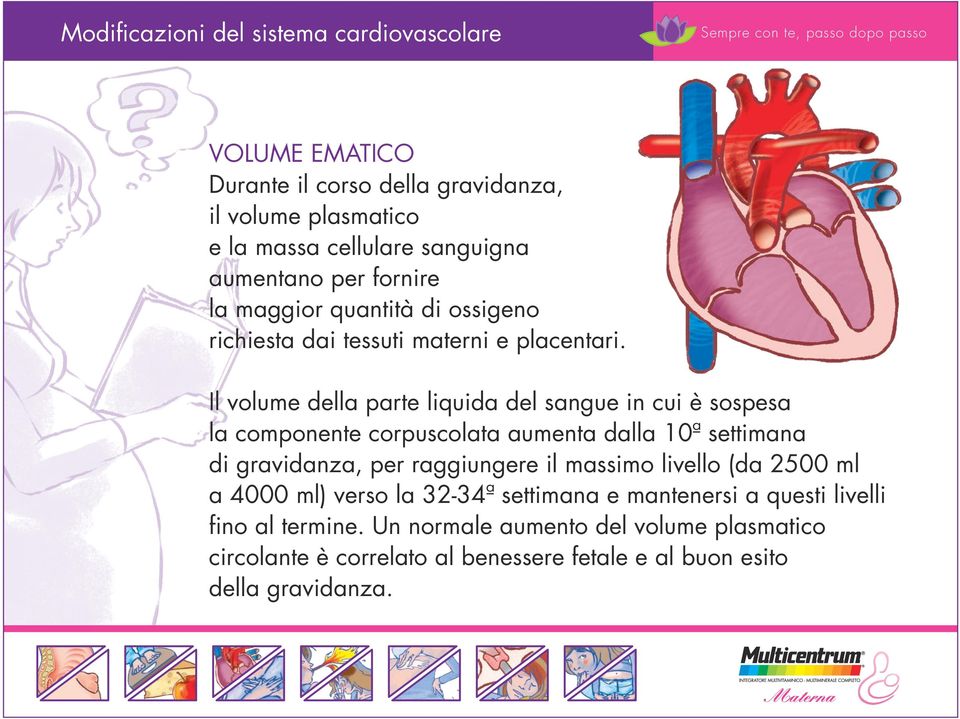 Il volume della parte liquida del sangue in cui è sospesa la componente corpuscolata aumenta dalla 10ª settimana di gravidanza, per raggiungere il massimo